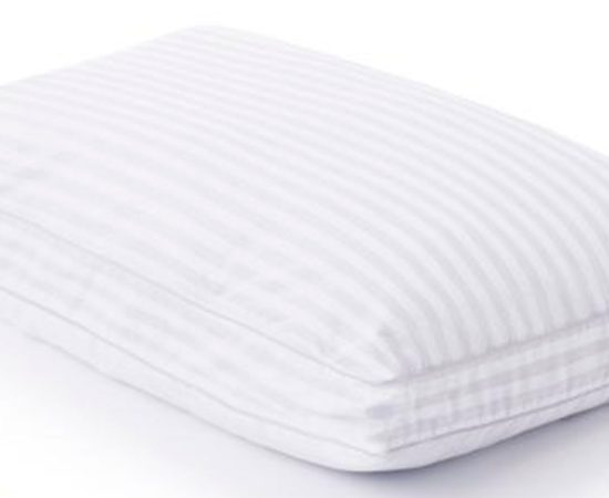 Z-Convolution-Gelled-Microfiber-Pillow-01